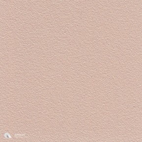 Atacama-2525-Sable-YW385I порошковая покраска алюминия